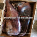 Sea Frozen Indian Ocean Squid For Sale to Processing Factory